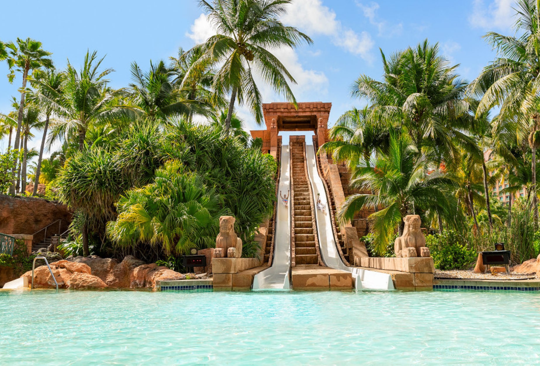 Slide in to a pool at a resort