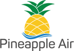 Pineapple Air