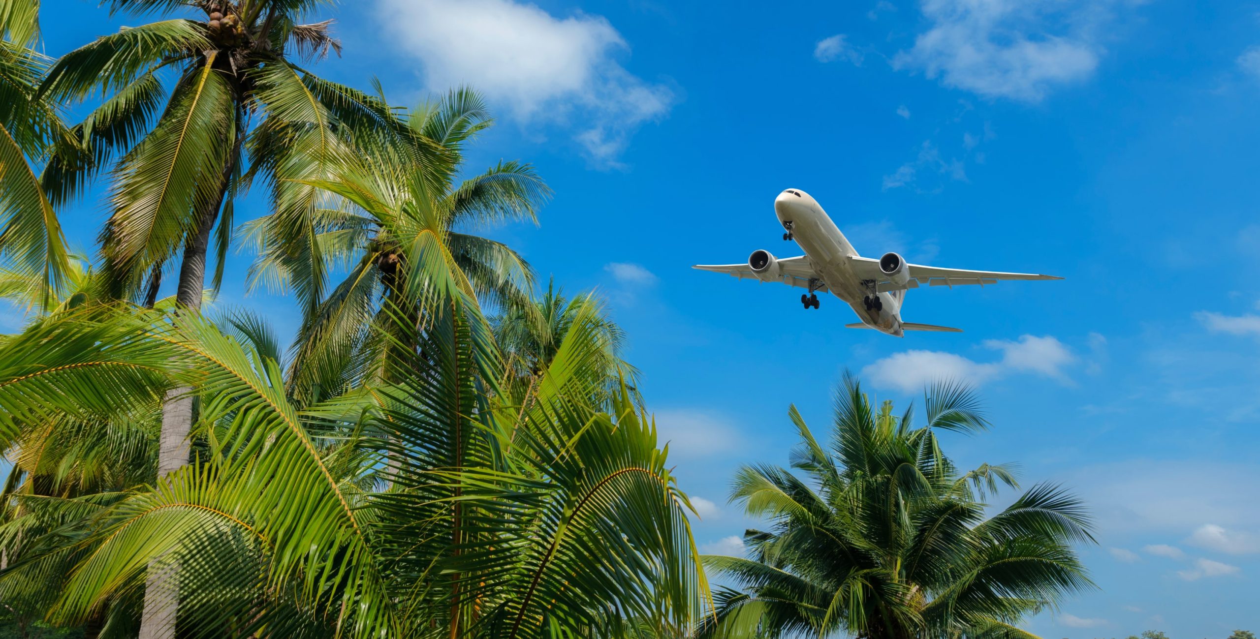 An airplane flying over trees in the Bahamas.