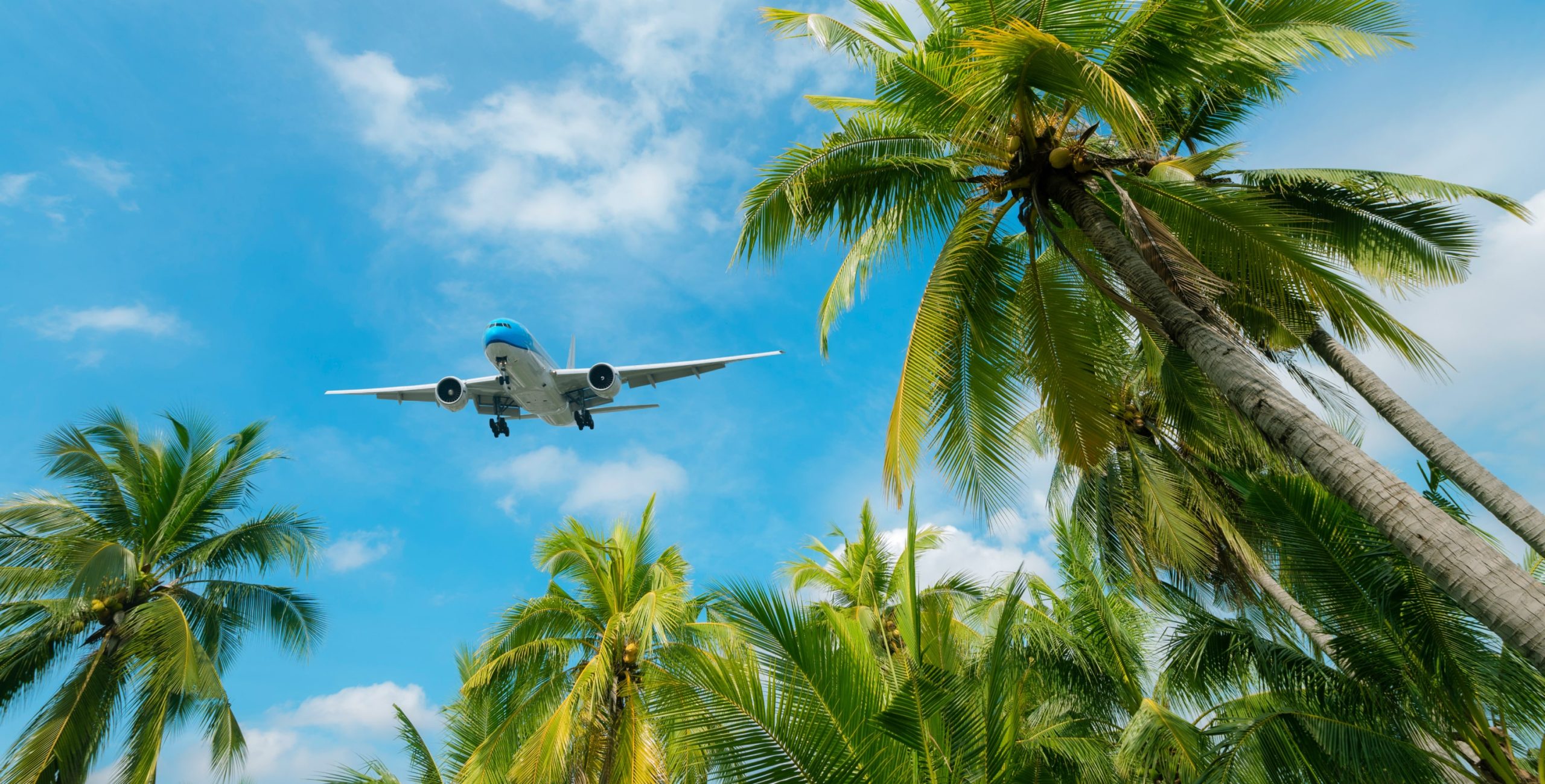 Airplane flying over trees in the Bahamas