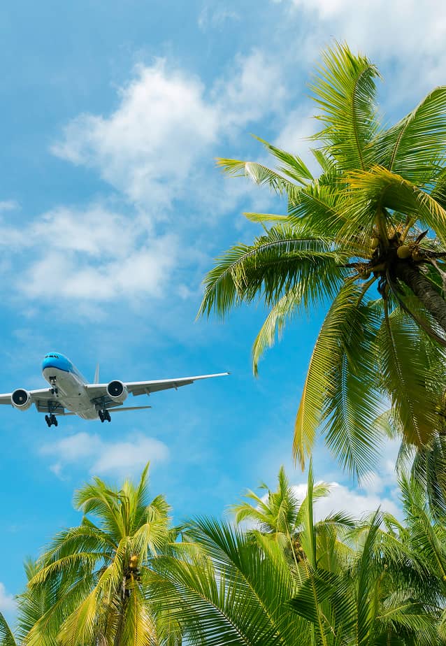 An airplane flying over trees in the Bahamas.