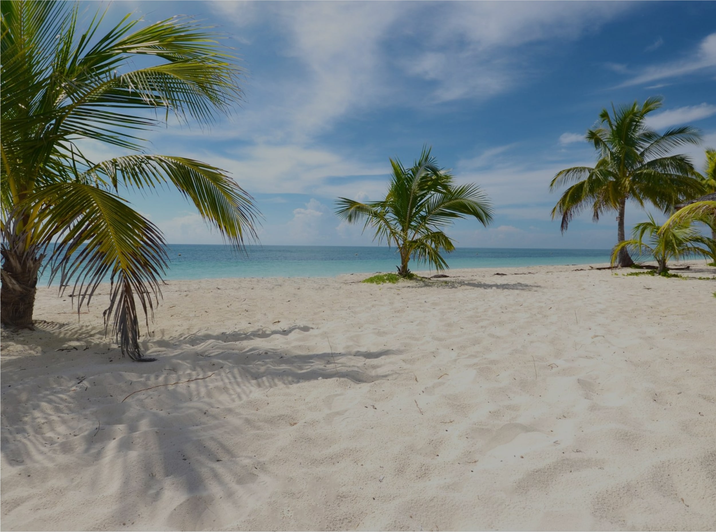 A beautiful beach in the Bahamas.
